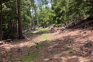 000 Hope Rd, Lincolnville, ME 04849 - Photo 1