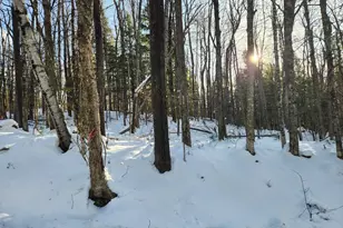 Map R15-37 Fields Hill Rd, Sumner, ME 04292 - Photo 1