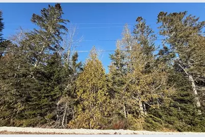 Lot 31 Gin Cove Road, Perry, ME 04667 - Photo 1