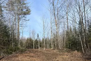 Lot 10 Albion Rd, Freedom, ME 04941 - Photo 1