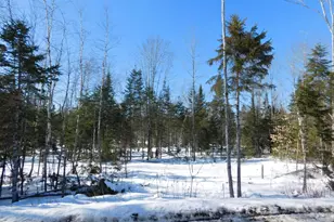 Lot # 1 Spring Bridge Rd, Greenbush, ME 04418 - Photo 1