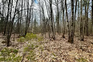 332 Folly Rd, Sebago, ME 04029 - Photo 1