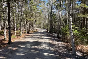 Lot 5C Journeys End Ln, Surry, ME 04684 - Photo 1