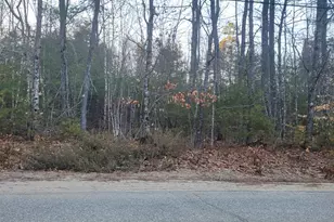 Lot 33-3 Henry Hill Rd, Buxton, ME 04093 - Photo 1