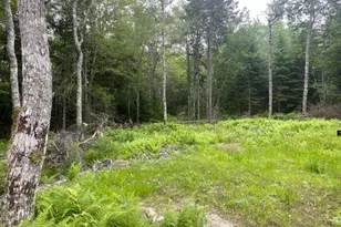 53 Woodland Dr, Trenton, ME 04605 - Photo 1