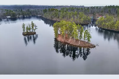 0 Lamb Chop & Picnic Island Island, Acton, ME 04001 - Photo 1