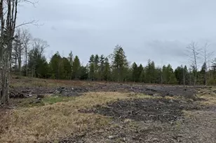 M 16 L 8 Garland Hill Rd, Waterboro, ME 04061 - Photo 1