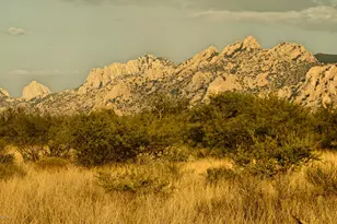 Lot 16 Dragoon Ranch Rd, Saint David, AZ 85630 - Photo 14