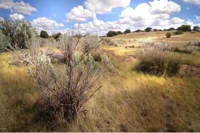 1 Tanglehead Lane #1, Patagonia, AZ 85624 - Photo 1