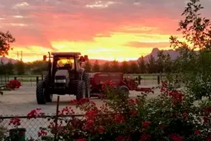 13400 W Twin Peaks Rd, Marana, AZ 85653 - Photo 36