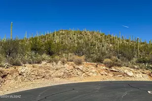 13716 Placita Del Inca, Tucson, AZ 85749 - Photo 6