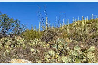 13716 Placita Del Inca #8, Tucson, AZ 85749 - Photo 28
