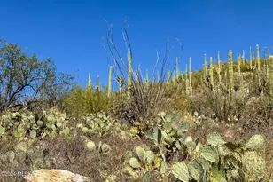 13716 Placita Del Inca, Tucson, AZ 85749 - Photo 28