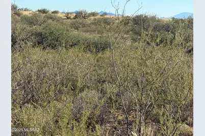 Lot 106 Cottontail Trail #-, Saint David, AZ 85630 - Photo 4