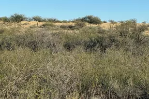 Lot 106 Cottontail Trail, Saint David, AZ 85630 - Photo 2