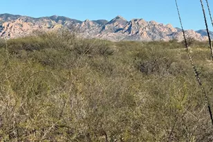 Lot 106 Cottontail Trail, Saint David, AZ 85630 - Photo 1