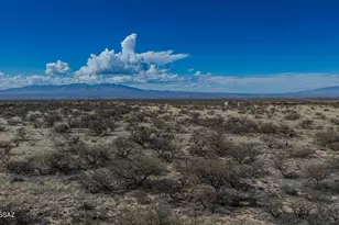 Lot 48 Roadrunner Trail, Saint David, AZ 85630 - Photo 6