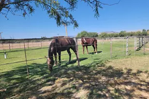 1855 W Patton St, Saint David, AZ 85630 - Photo 44