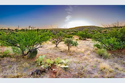 Xx Golder Dam Road, Saddlebrooke, AZ 85739 - Photo 14