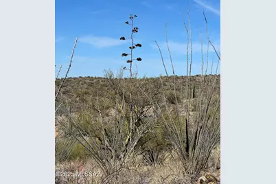 15175 Rincon Creek Ranch Road, Tucson, AZ 85747 - Photo 16