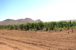 3516 E Fawn Ranch Rd, Pearce, AZ 85625 - Photo 18