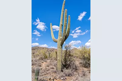 13147 T Bench Bar Place #3, Marana, AZ 85658 - Photo 14