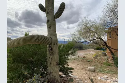 6651 N Campbell Avenue #138, Tucson, AZ 85718 - Photo 8