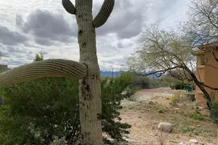 6651 N Campbell Ave, Tucson, AZ 85718 - Photo 8