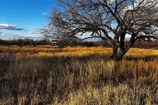 4 De Anza Ct, Tubac, AZ 85640 - Photo 1