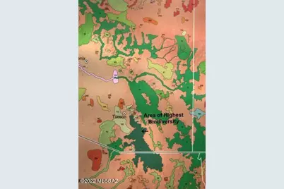 178 Tanglehead Lane #43, Patagonia, AZ 85624 - Photo 12