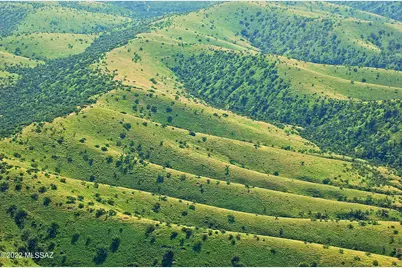 178 Tanglehead Lane #43, Patagonia, AZ 85624 - Photo 16