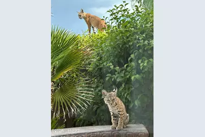 141 Ramada Trail, Tubac, AZ 85646 - Photo 48