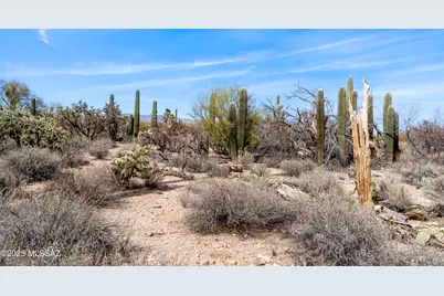 9633 Giant Cacti Drive #14, Tucson, AZ 85749 - Photo 8