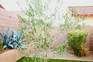 4364 Big Bend St, Sierra Vista, AZ 85650 - Photo 28