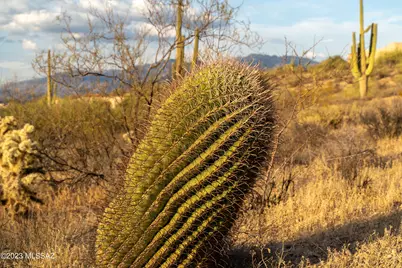 5575 Tucson Mountain Place #53, Tucson, AZ 85743 - Photo 12