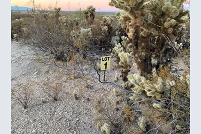 12000 Rincon Foothills Place #1, Tucson, AZ 85747 - Photo 8