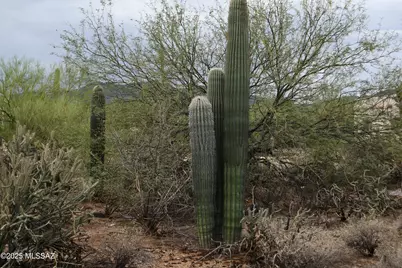 4840 Avenida Corto #6, Tucson, AZ 85745 - Photo 18