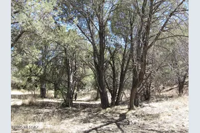 Tbd Keystone Road #17-A, Patagonia, AZ 85624 - Photo 6