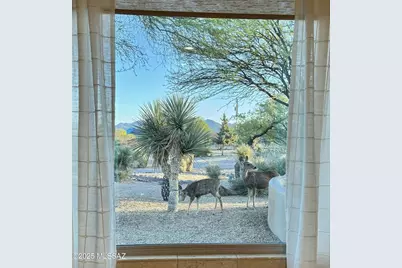 3400 W Lynx Lane, Benson, AZ 85602 - Photo 36