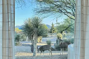 3400 W Lynx Ln, Benson, AZ 85602 - Photo 36