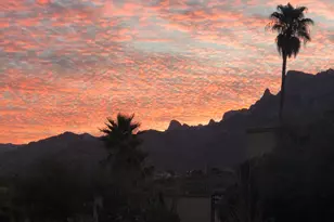 791 Camino Corrida, Oro Valley, AZ 85704 - Photo 44