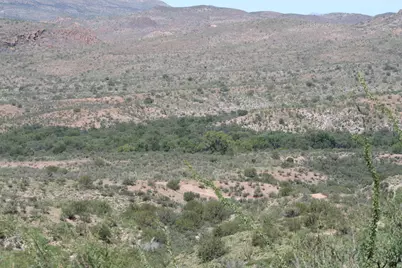 Tbd Paseo Riachuelo #50, Rio Rico, AZ 85648 - Photo 6