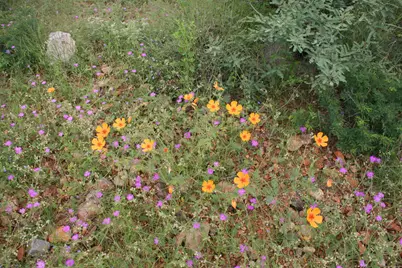 Tbd Paseo Riachuelo #50, Rio Rico, AZ 85648 - Photo 22