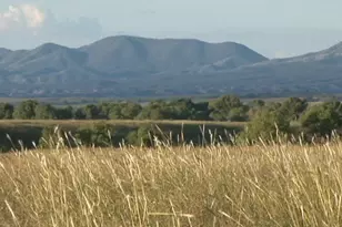 000 Forest Road 4748 Rd, Patagonia, AZ 85624 - Photo 14