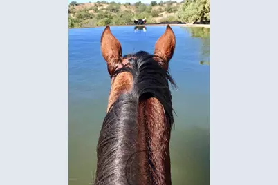 000 Forest Road 4748 Road, Patagonia, AZ 85624 - Photo 30