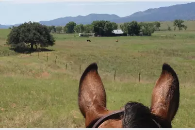 000 Forest Road 4748 Road, Patagonia, AZ 85624 - Photo 22