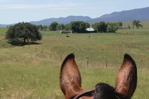 000 Forest Road 4748 Rd, Patagonia, AZ 85624 - Photo 22