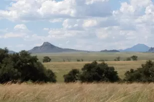 000 Forest Road 4748 Rd, Patagonia, AZ 85624 - Photo 20