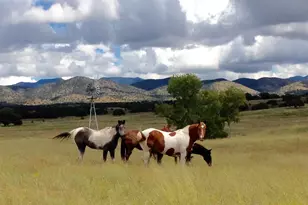 000 Forest Road 4748 Rd, Patagonia, AZ 85624 - Photo 2