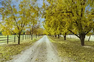 45 Clark Crossing Rd, Tubac, AZ 85646 - Photo 2